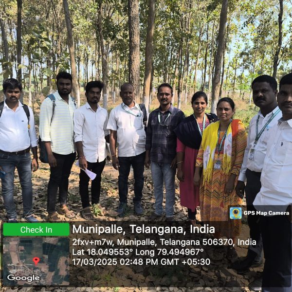 a11-1-2-rhza3zoea24neakn38u8d9t6qm8z00opfmb413nng0